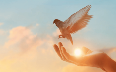 4. Die Magie der Berührbarkeit